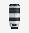 Load image into Gallery viewer, Dictum mondyev maximus vitae